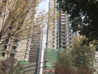 朗诗未来街区实景图
