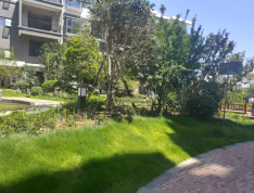 兴忠南湖御景实景图