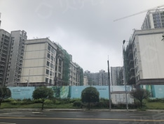 城投置地梧桐栖实景图