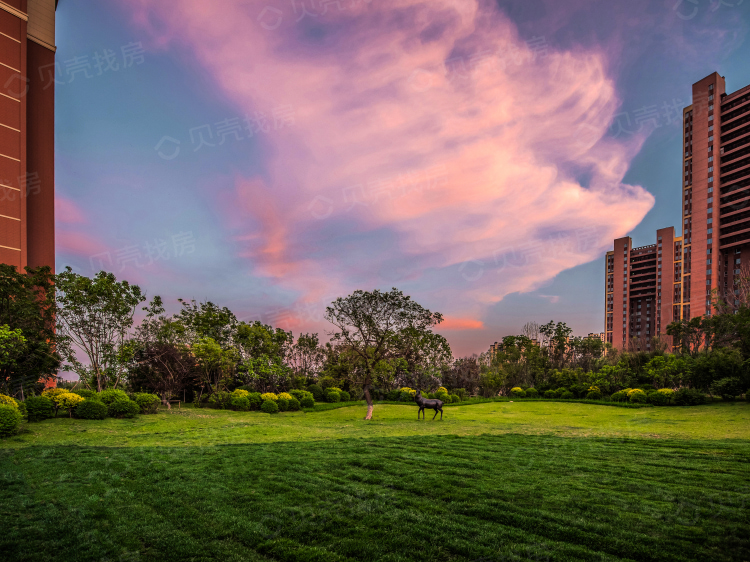 【金地朗悦_沈阳金地朗悦楼盘房价】户型-怎么样-贝壳沈阳楼盘网