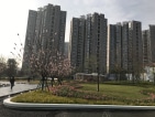 保利时代实景图