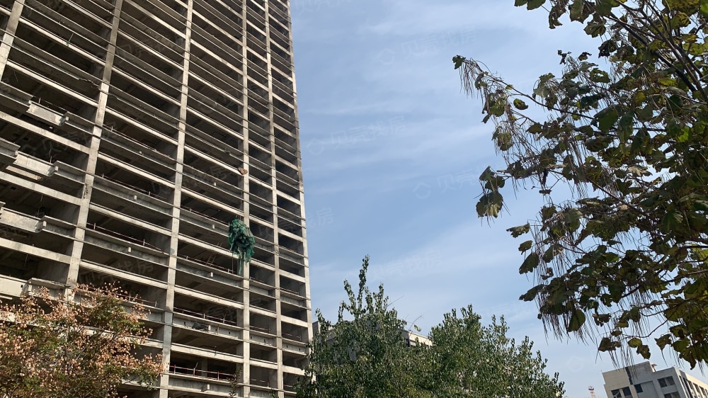 海格·梦想特区相册