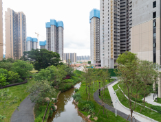 泰丰牧马湖实景图