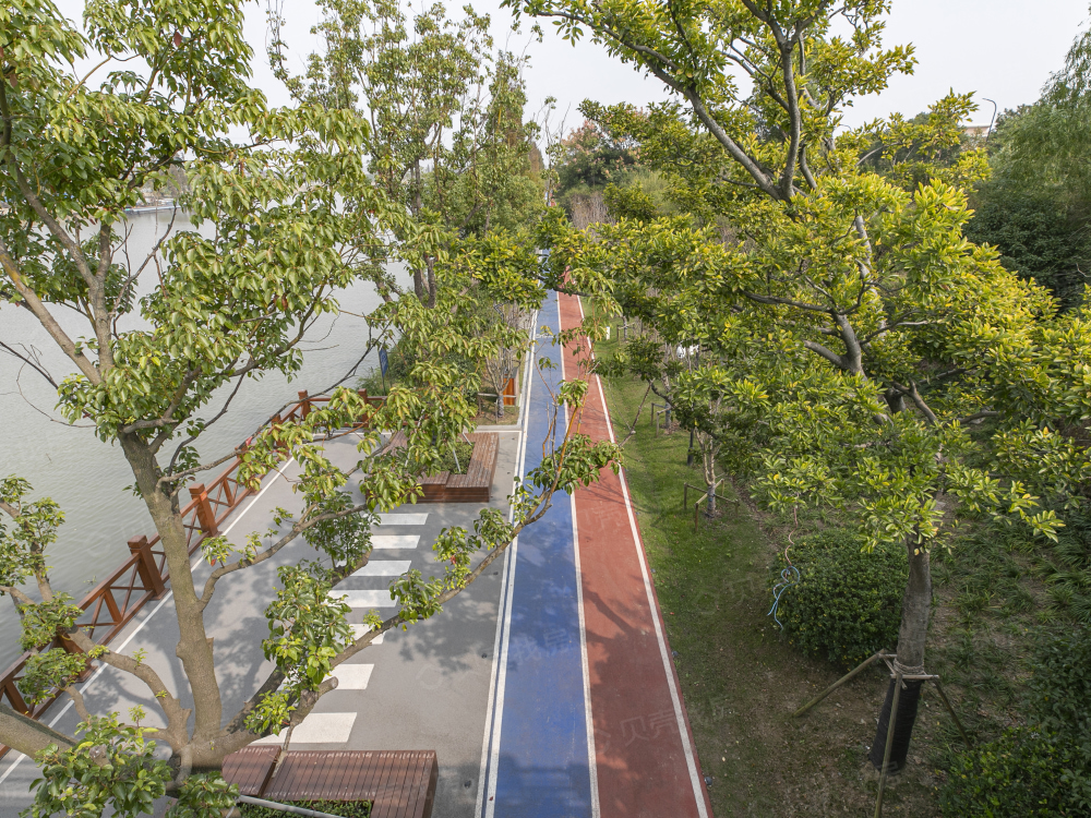 越秀·向东岛相册