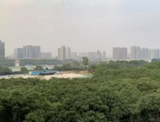 华润置地·西园悦府实景图