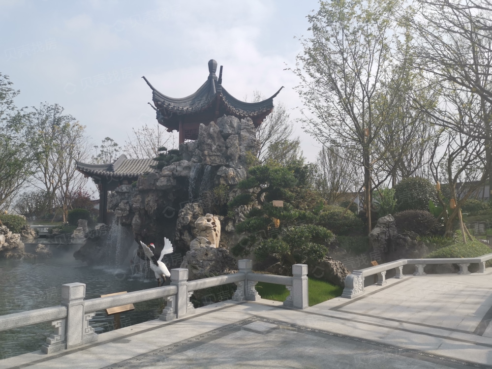 鸿通公园1988天著相册