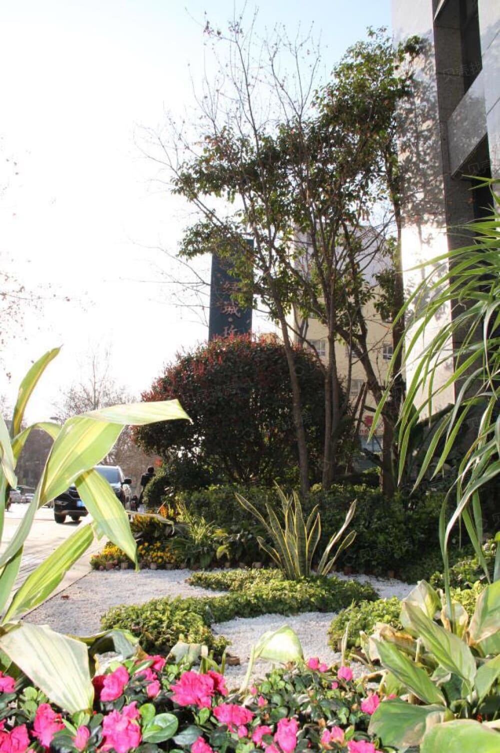 【绿城玫瑰园】_防城港召陵区绿城玫瑰园房价,户型,开盘时间详情-防城