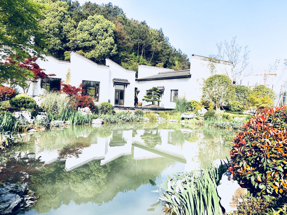 奥城望实景图