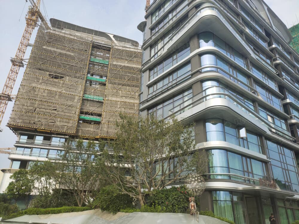 珠光金融城壹号相册