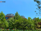MAX科技园（青岛·红湾）实景图