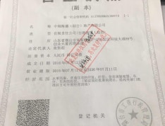 中海国际社区开发商营业执照