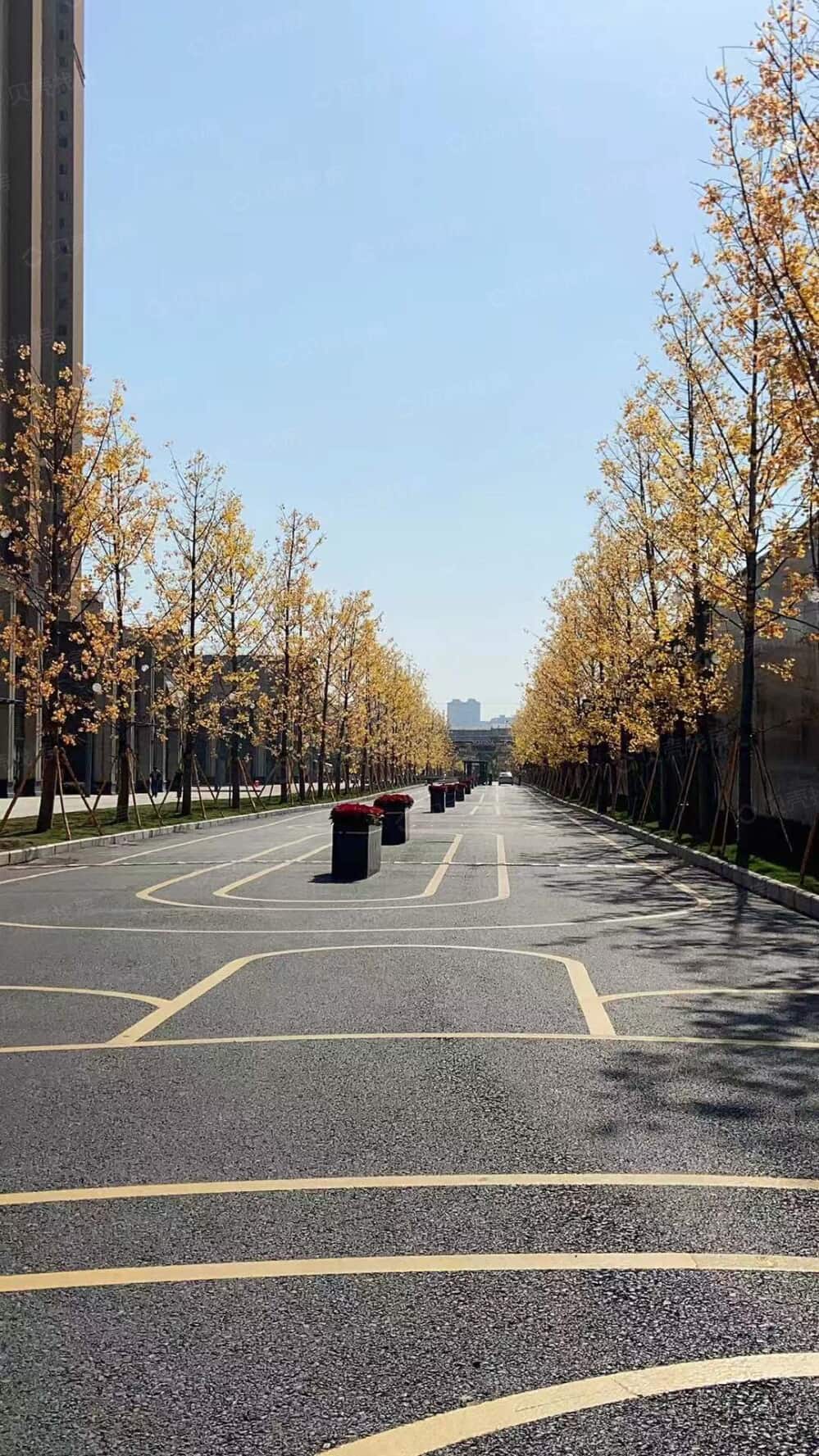 万科华生公园大道相册