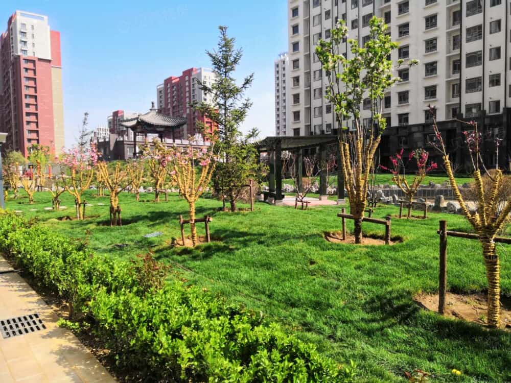 运河铭著实景图