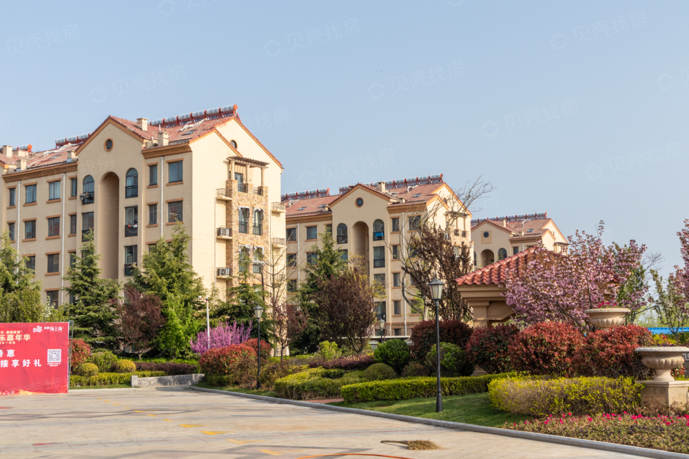 光明海上海相册