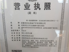 中辰优唐广场开发商营业执照
