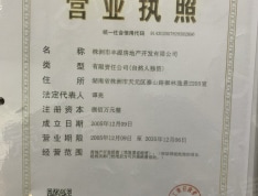 株洲望云印象开发商营业执照