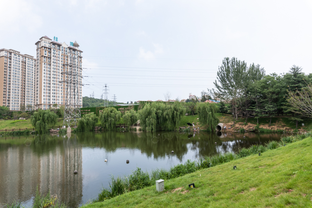 碧桂园凤凰山庄c区相册