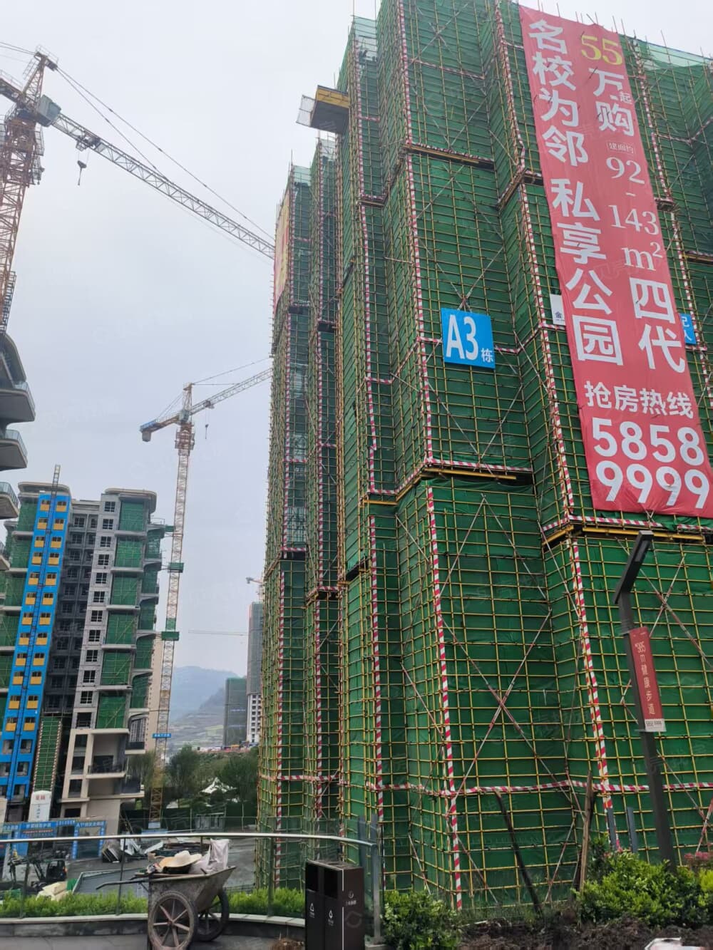 海成梧桐郡实景图