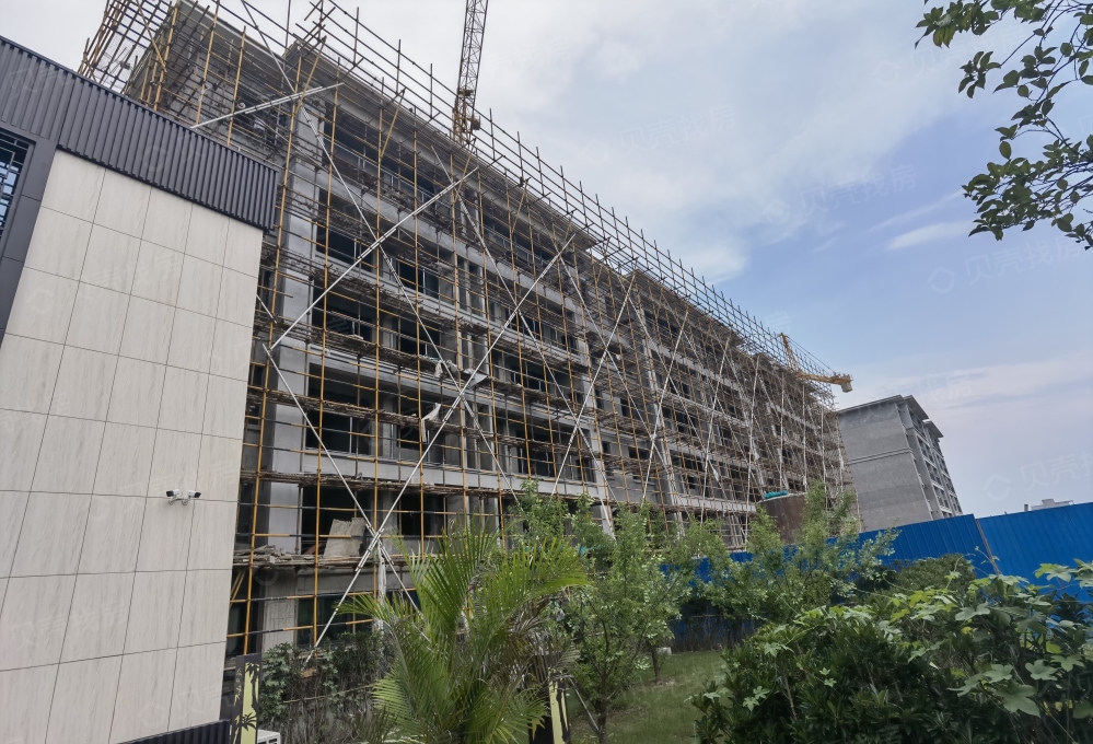 崇明岛.紫竹园相册