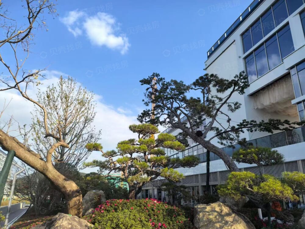 喜悦和商业中心实景图