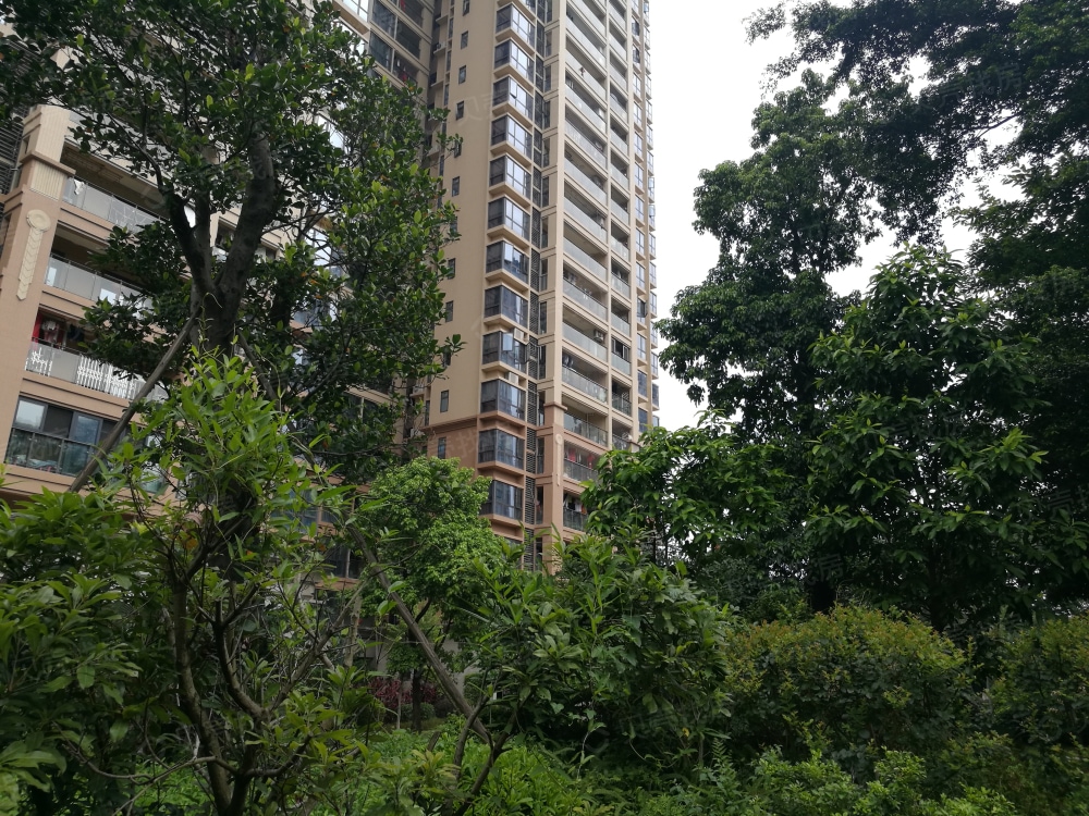 珠岛花园金湾明珠相册