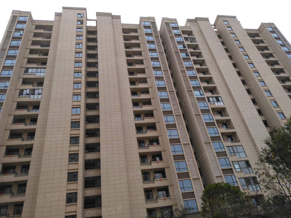 金佳云舒花城相册