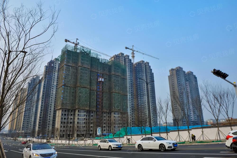 恒地君悦山相册