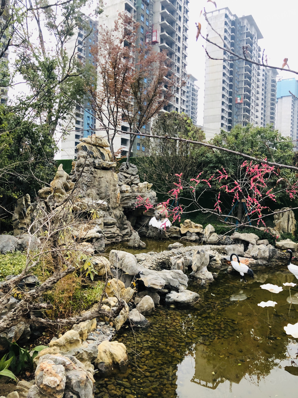 信友天润府实景图