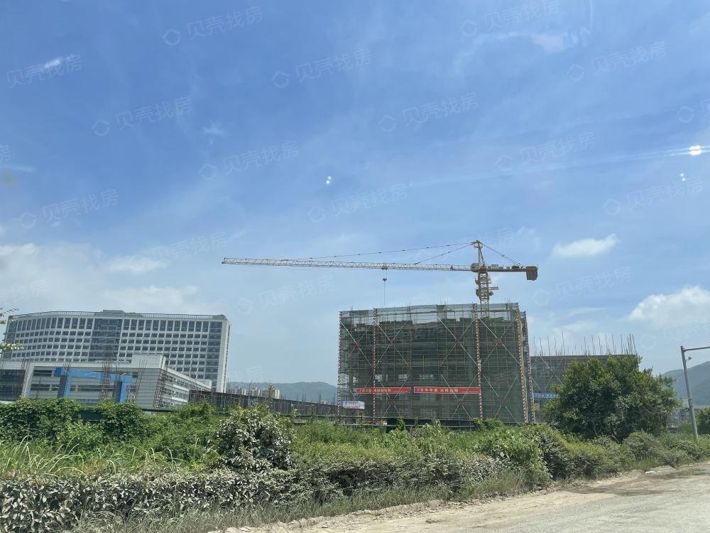 蓝地凤起阳光里实景图