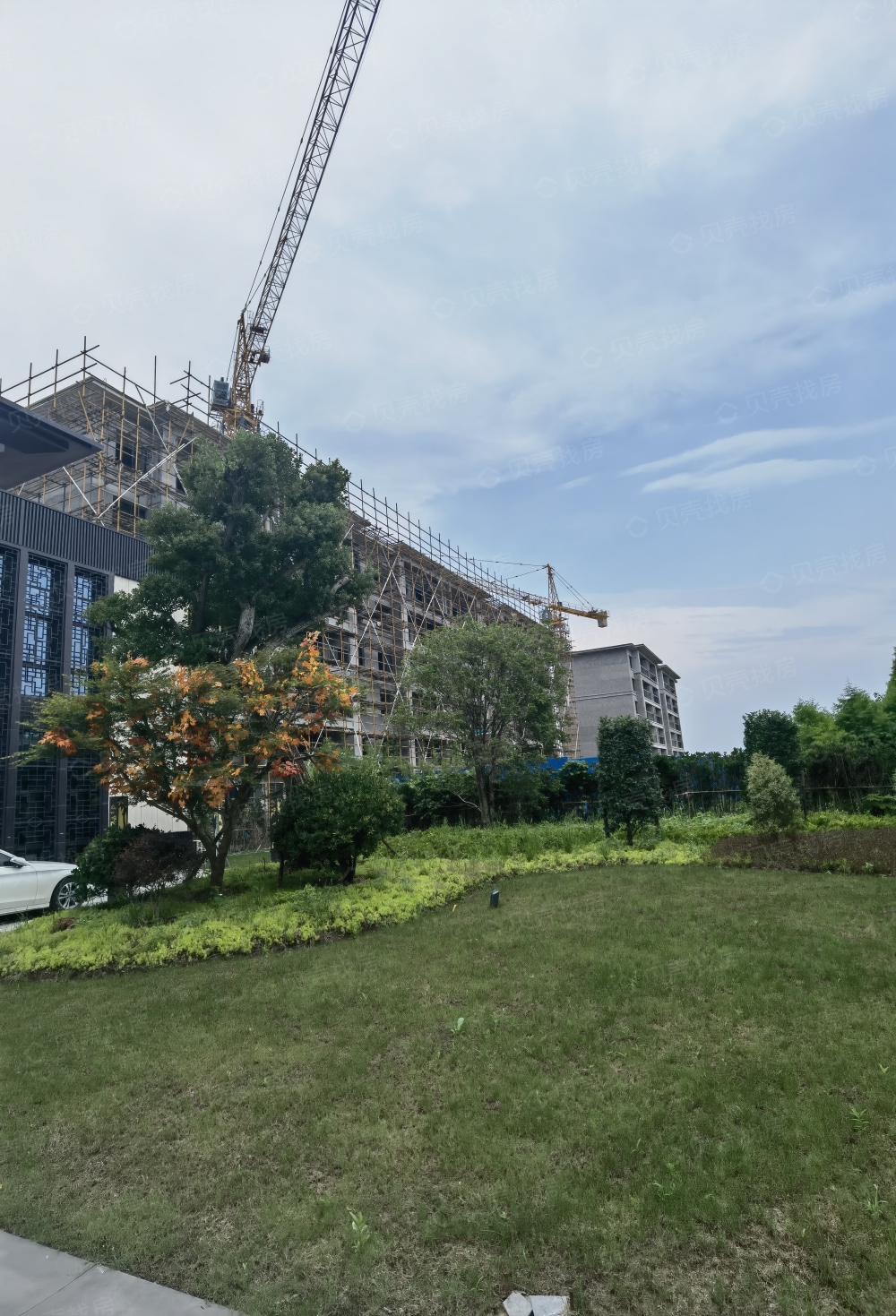 崇明岛.紫竹园相册