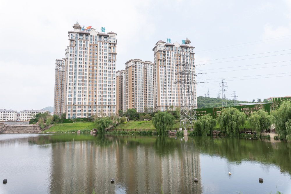 碧桂园凤凰山庄c区相册