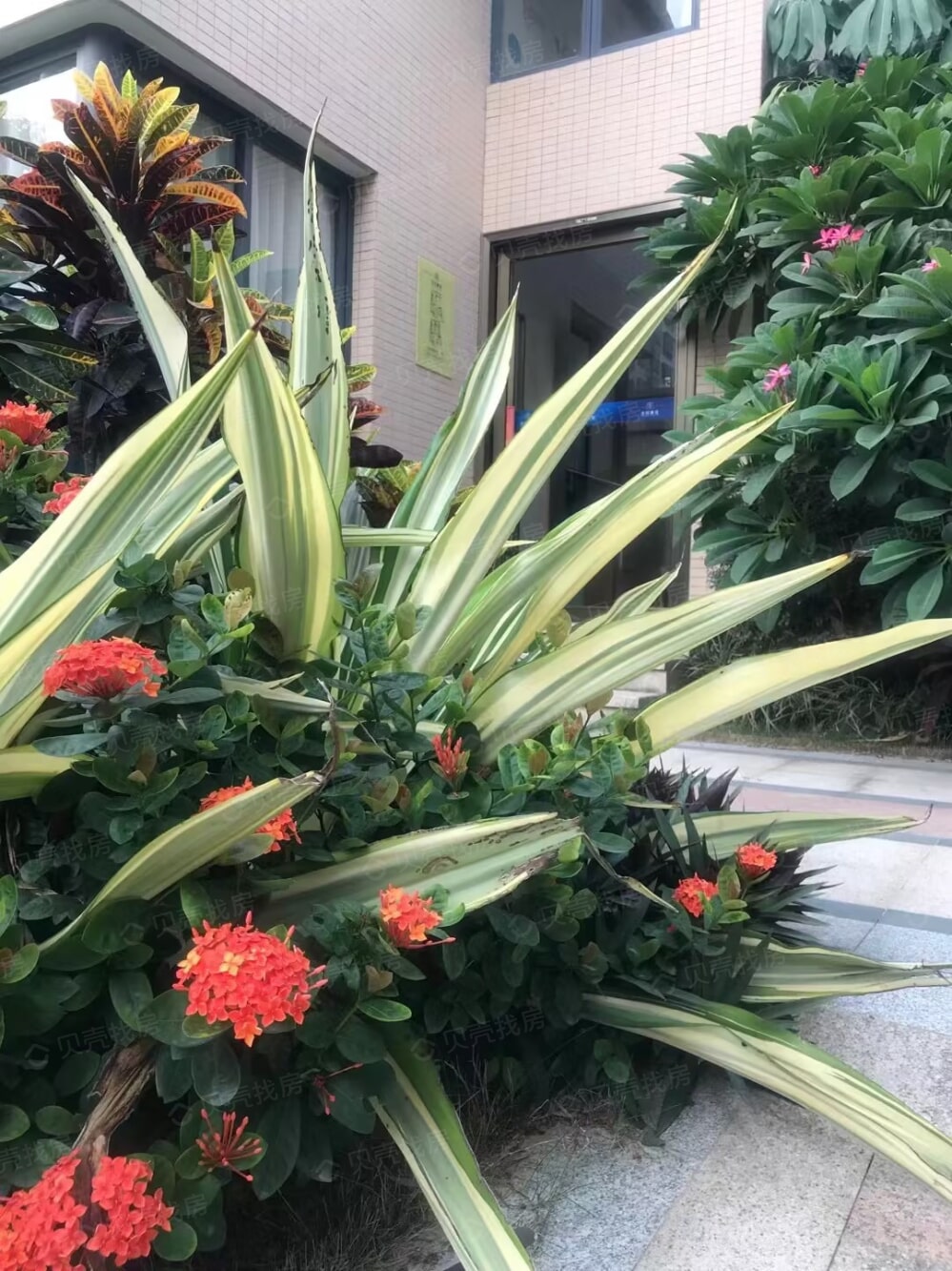 金悦豪庭实景图