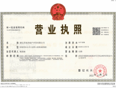 武汉春风里开发商营业执照