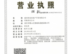 中国铁建东林道开发商营业执照