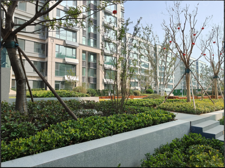 嘉筑项目现场相册