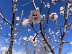 花都水岸项目现场