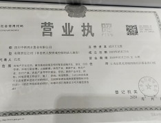 中铁·湖畔影月开发商营业执照