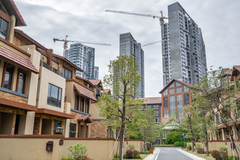 实地常春藤相册