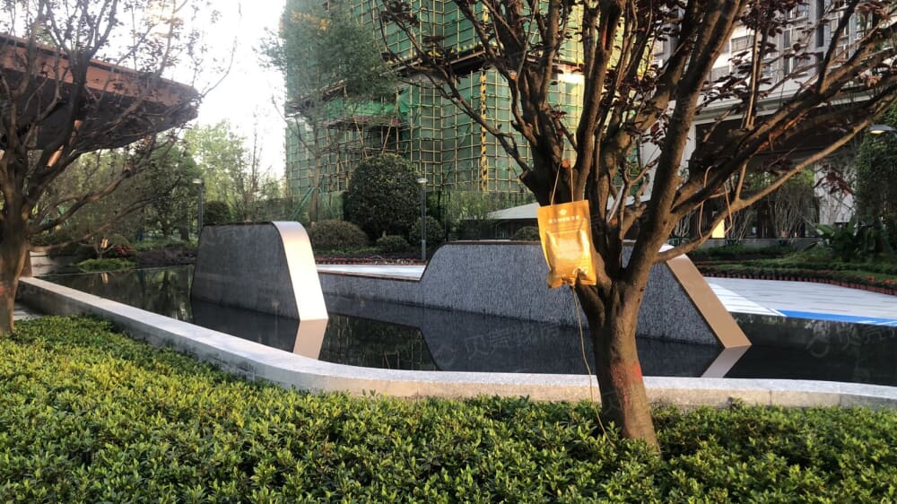 正黄翡翠堂相册