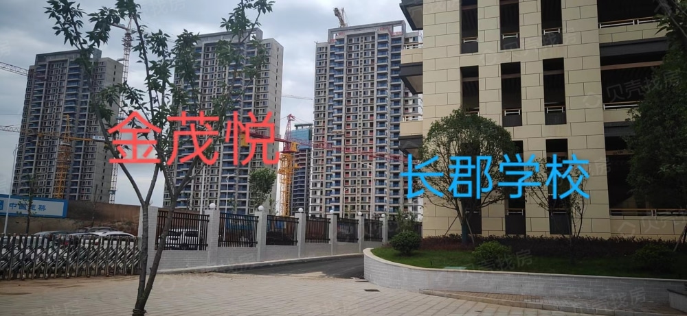 金茂悦项目现场