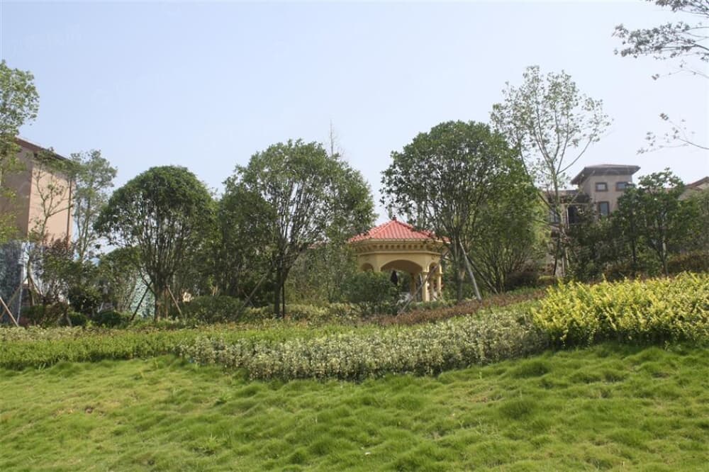 宝德·麓湖实景图