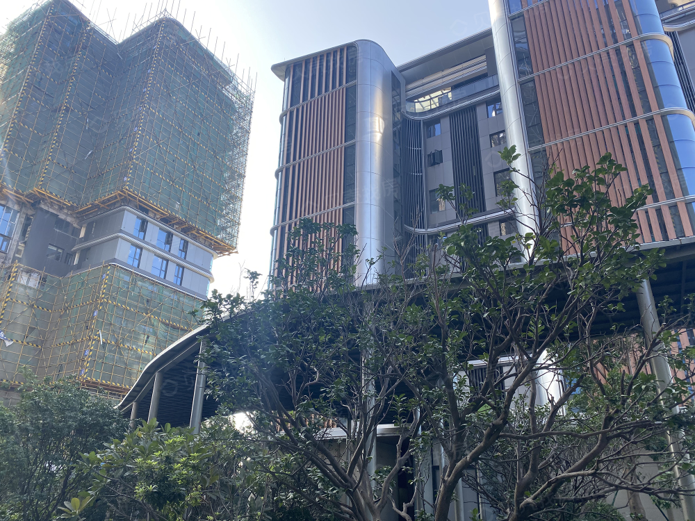 珠光金融城壹号相册