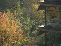 城投置地国宾7号院