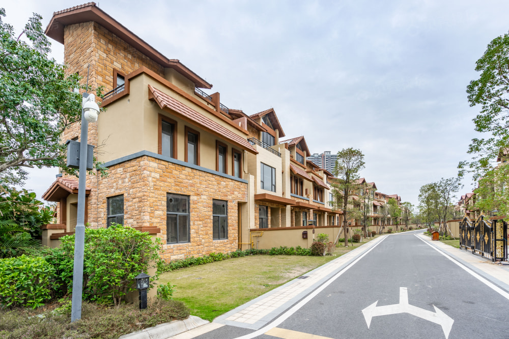 实地常春藤相册