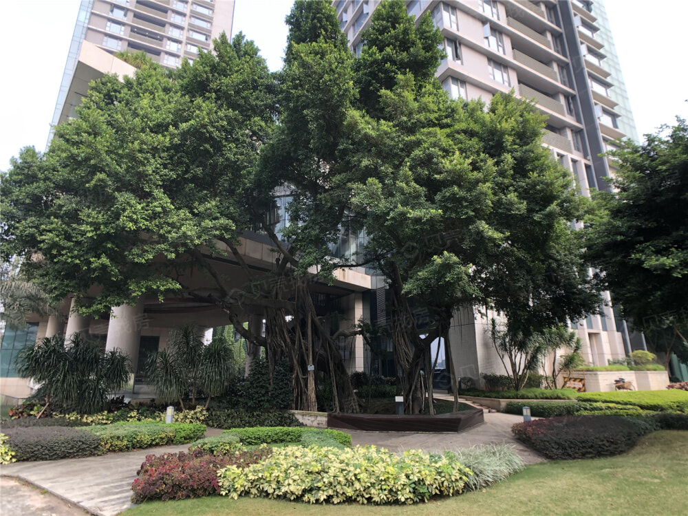 海珠半岛花园三期相册