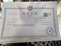 新湖仙林金谷开发商营业执照