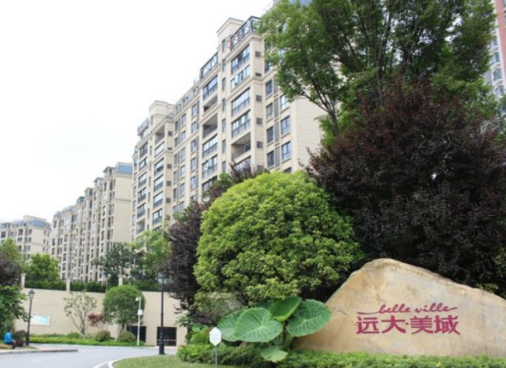 远大美域