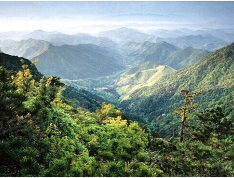 天目观山月小区配套