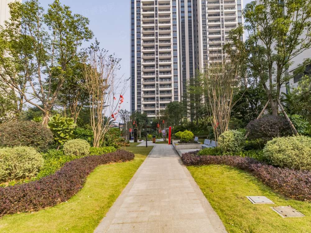 碧桂园天悦府相册