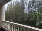 青山湖玫瑰园实景图